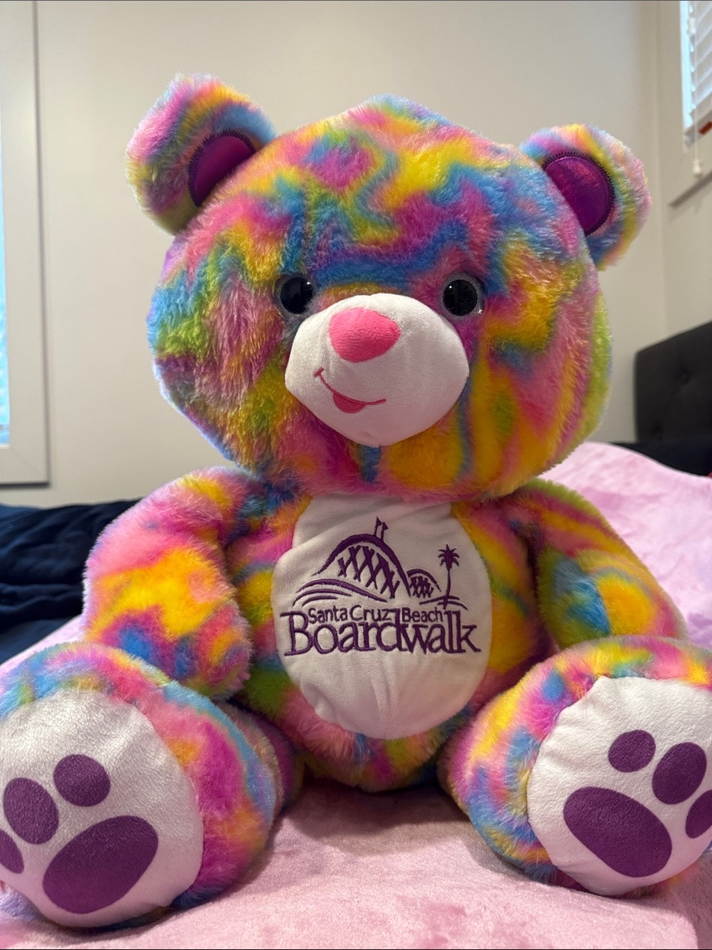 Rainbow Plush Bear - Multicolor